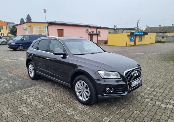 audi q5 paczków Audi Q5 cena 79900 przebieg: 174400, rok produkcji 2014 z Paczków